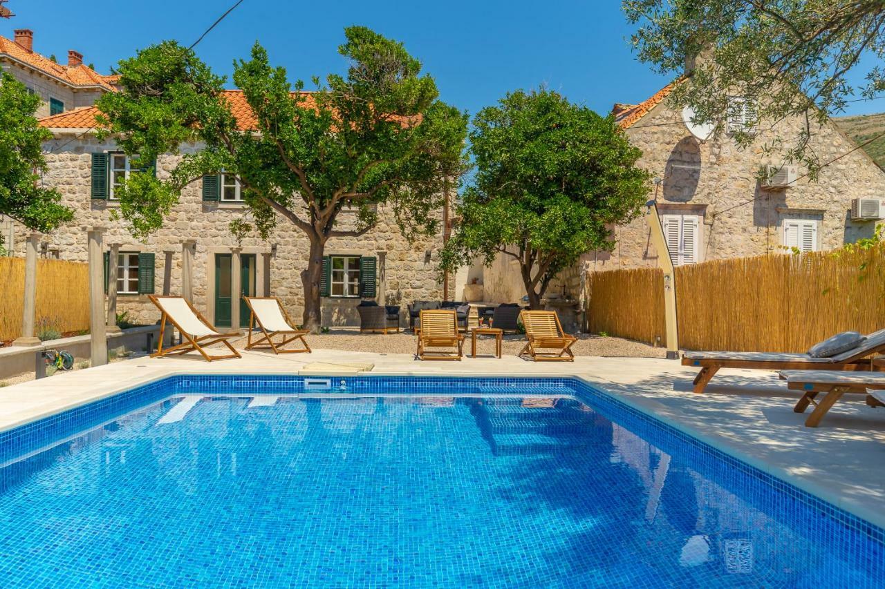 Hedera Estate, Hedera Iv *